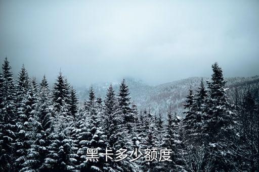 黑卡多少額度