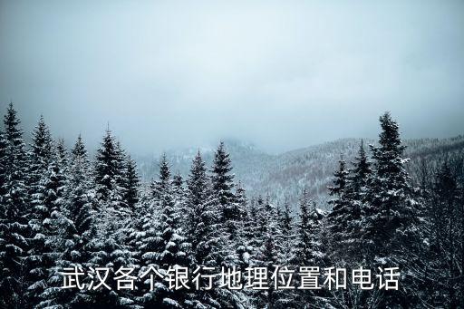 武漢各個銀行地理位置和電話
