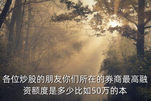 50萬融資可融多少，我有一個(gè)50萬元注冊的公司請問能在銀行貸款多少錢