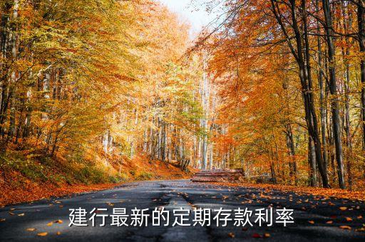 建行今年利率是多少錢，建行最新的定期存款利率