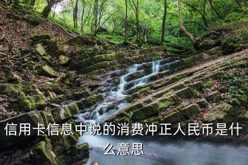 信用卡信息中說(shuō)的消費(fèi)沖正人民幣是什么意思