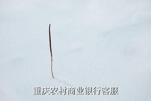 重慶農(nóng)村商業(yè)銀行客服