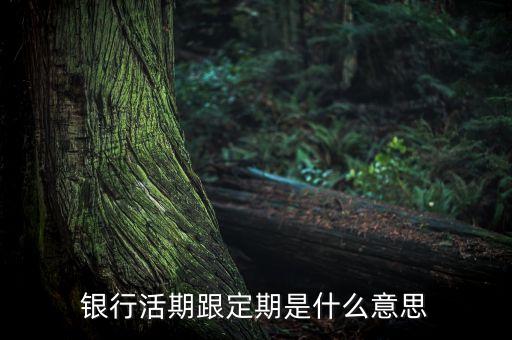 銀行活期跟定期是什么意思