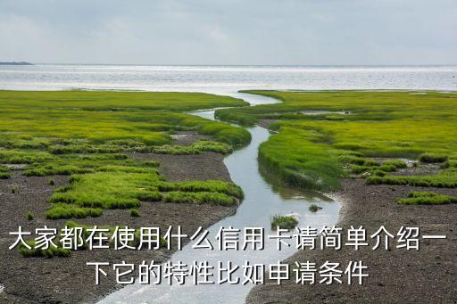 一般都用的什么信用卡，大家都在使用什么信用卡請(qǐng)簡(jiǎn)單介紹一下它的特性比如申請(qǐng)條件