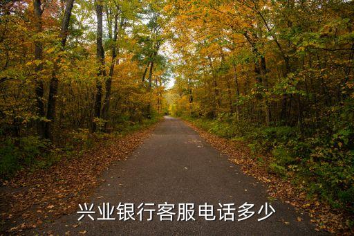 興業(yè)銀行客服電話多少