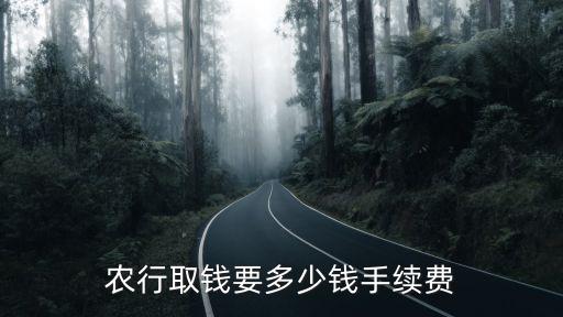 農(nóng)行取錢要多少錢手續(xù)費