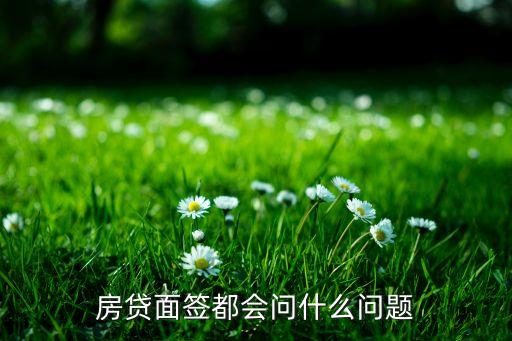 貸款人員都會問什么，去銀行或機(jī)構(gòu)貸款的人一般要咨詢什么問題