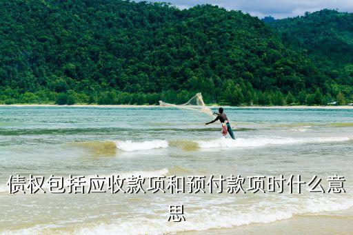 債權(quán)有什么用，怎么區(qū)分債權(quán)和債務(wù)