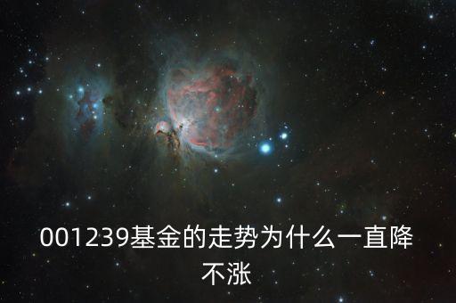 001239基金的走勢為什么一直降不漲