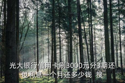 光大銀行信用卡刷3000元分3期還包利息一個(gè)月還多少錢  搜