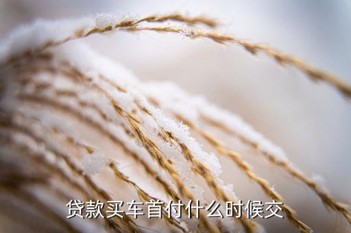 按揭買車什么時候首付，貸款買車首付什么時候交