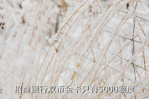 招商銀行雙幣金卡只有5000額度