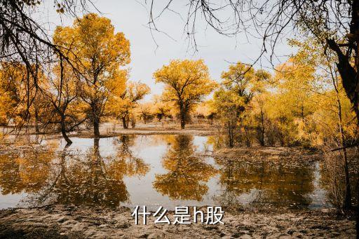 港股 股權(quán)是什么意思，港股是什么意思