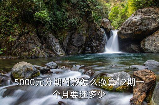 借5000分期一年還多少利息，阿里網(wǎng)商銀行貸款5000一年我要還多少錢每個(gè)月