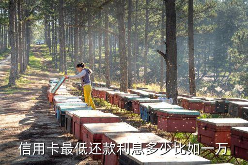 信用卡最低還款利息多少比如一萬