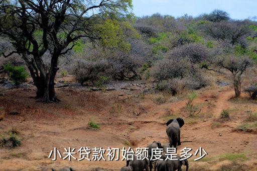 小米金融額度一般多少，小米金融貸款額度是多少怎么提升
