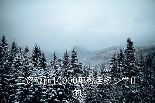 工資稅前10000那稅后多少學(xué)IT的