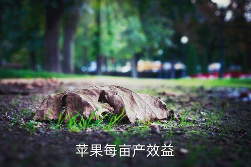 蘋果每畝產(chǎn)效益