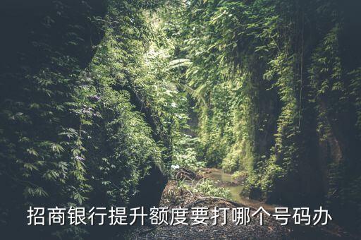 招商提額電話多少，招商銀行提升額度要打哪個號碼辦