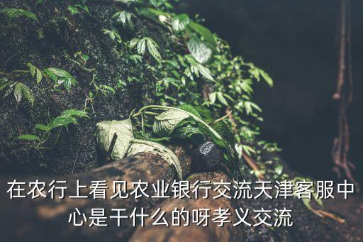 在農(nóng)行上看見農(nóng)業(yè)銀行交流天津客服中心是干什么的呀孝義交流