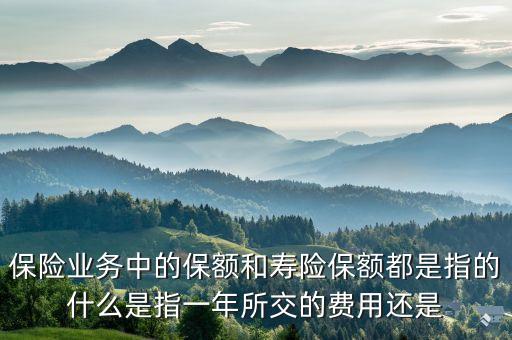 保險(xiǎn)業(yè)務(wù)中的保額和壽險(xiǎn)保額都是指的什么是指一年所交的費(fèi)用還是