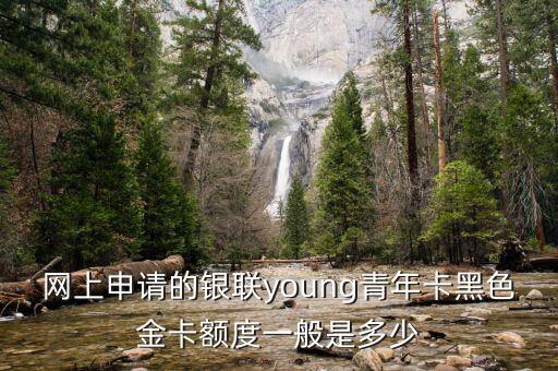 網(wǎng)上辦黑卡信用卡額度是多少，信用卡黑卡額度是多少