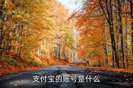 支付寶的賬號(hào)是什么