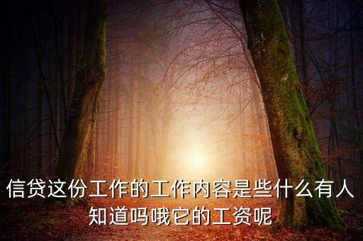 信貸這份工作的工作內(nèi)容是些什么有人知道嗎哦它的工資呢