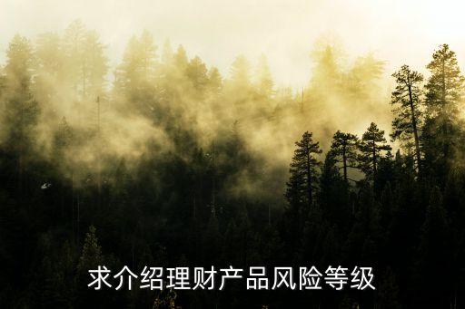 簡(jiǎn)述什么是風(fēng)險(xiǎn)等級(jí)，企業(yè)安全檢查中如何定義風(fēng)險(xiǎn)級(jí)別