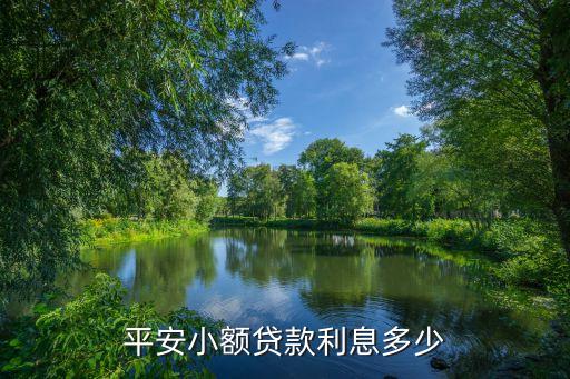 平安小額貸款利息多少