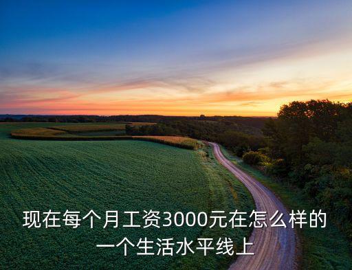 現(xiàn)在每個(gè)月工資3000元在怎么樣的一個(gè)生活水平線上