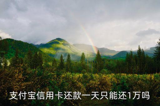 支付寶信用卡還款一天只能還1萬(wàn)嗎