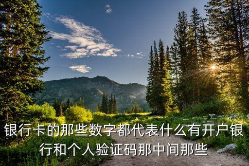 銀行卡的那些數(shù)字都代表什么有開戶銀行和個(gè)人驗(yàn)證碼那中間那些