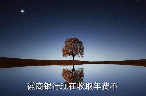 徽商銀行信用卡年費(fèi)多少，辦徽商銀行卡要不要交費(fèi)年費(fèi)呢