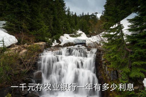 一千元存農(nóng)業(yè)銀行一年有多少利息