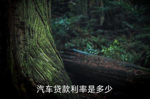 重慶車貸利息多少錢，買車按揭一般是多少利息