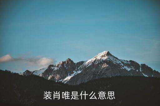 裝肖唯是什么意思