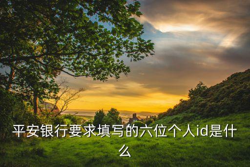 平安銀行要求填寫的六位個人id是什么