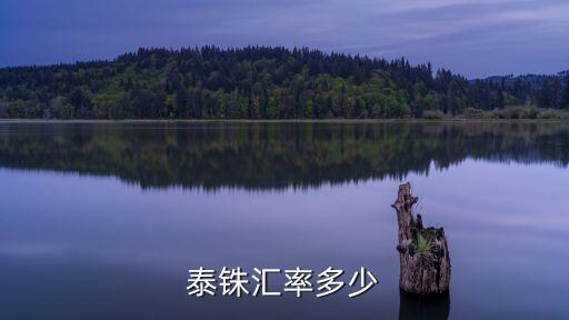 泰國可以兌換人民幣多少錢一克，泰國的貨幣是什么與人民的折換又是多少換多少