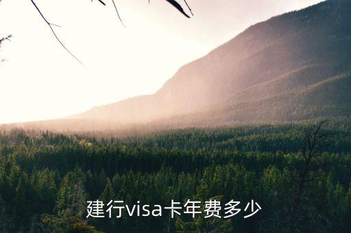 建設(shè)visa信用卡年費多少，建行visa卡年費多少