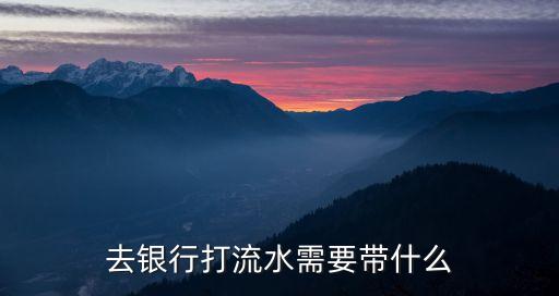去銀行打流水需要帶什么
