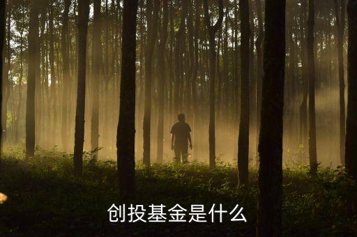 國創(chuàng)投b是什么基金，什么是b類基金