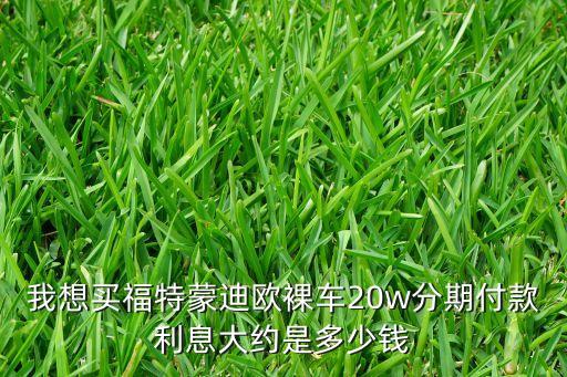 福特分期付款利息多少，福特金融汽車貸款購車?yán)⒍嗌? /></a><a href=