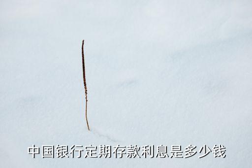 中國銀行定期存款利息是多少錢