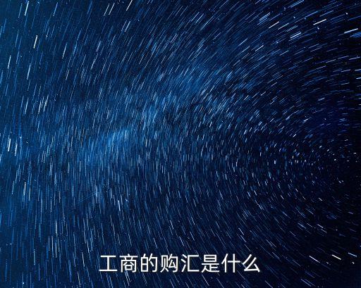 工商的購匯是什么