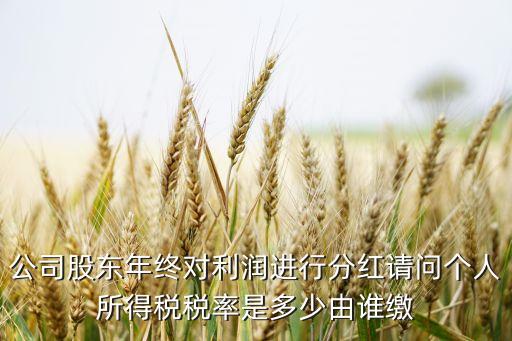 公司股東年終對(duì)利潤(rùn)進(jìn)行分紅請(qǐng)問(wèn)個(gè)人所得稅稅率是多少由誰(shuí)繳