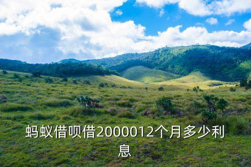 螞蟻借唄借2000012個(gè)月多少利息