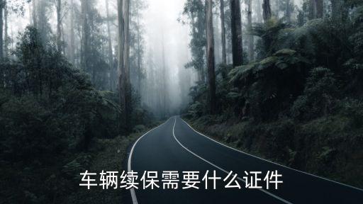 車險續(xù)保準備什么證件，車輛續(xù)保需要什么證件