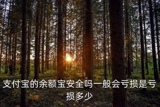支付寶的余額寶安全嗎一般會虧損是虧損多少