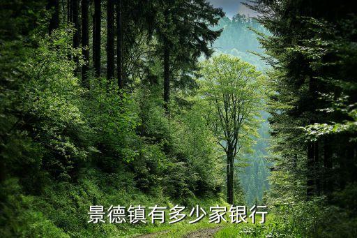 景德鎮(zhèn)有多少家銀行